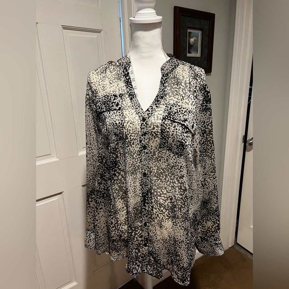 Sheer print blouse